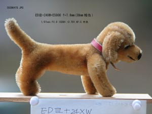 デジスコ解像度テスト用の犬の縫いぐるみ デジスコ解像度テスト用の犬の縫いぐるみ
