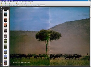 裏の絵が透けて、しわも強調されたスキャン結果