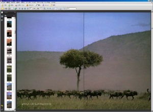 平面スキャナーで処理、裏画面の透けが消えた