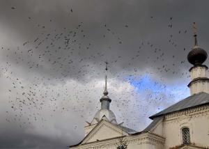 スーズダリのタルゴーヴァヤ広場上空を飛ぶ鳩の群れ
