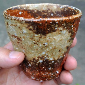 阪井七(なお)作の信楽焼きフリー杯 阪井七(なお)作の信楽焼きフリー杯
